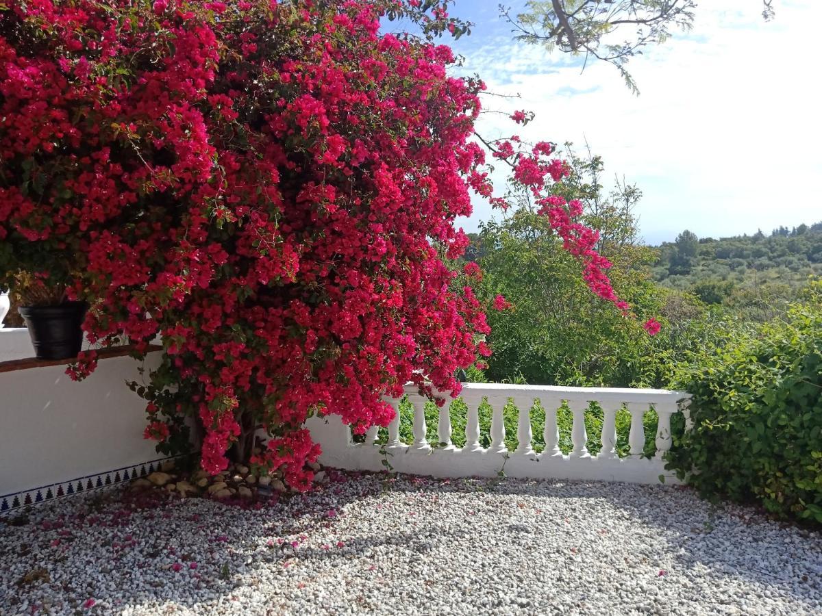 Finca Rayo Del Sol Alhaurin el Grande Ngoại thất bức ảnh