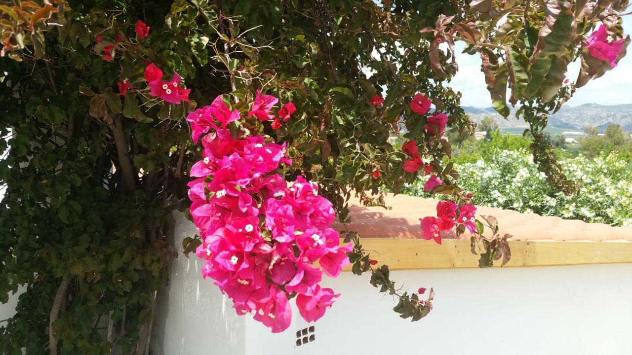Finca Rayo Del Sol Alhaurin el Grande Ngoại thất bức ảnh