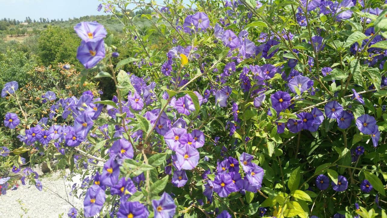 Finca Rayo Del Sol Alhaurin el Grande Ngoại thất bức ảnh